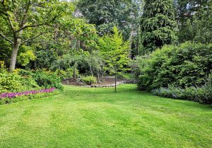 Optimiser l'expérience du jardin à Saint-Etienne-de-Chigny