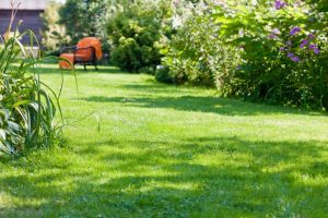 travaux jardin et paysage Saint-Etienne-de-Chigny